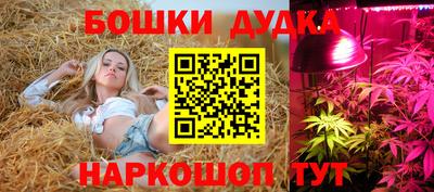 МДПВ Кунгур